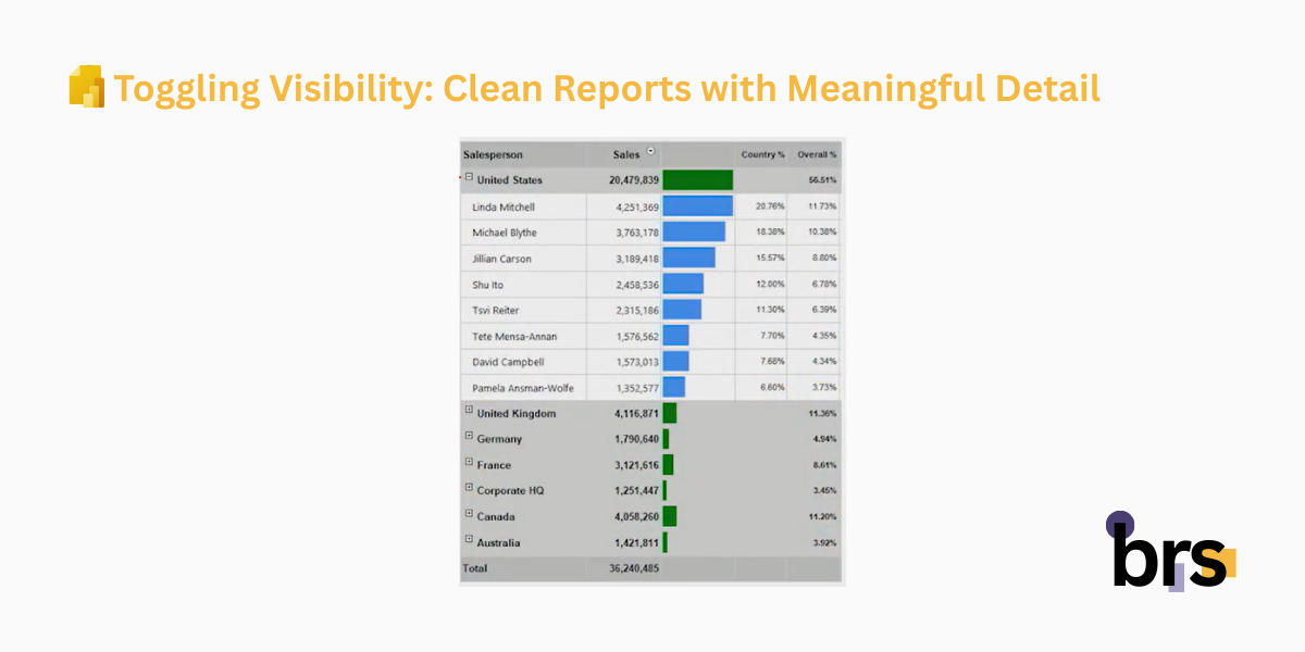 Toggling Visibility_ Clean Reports with Meaningful Detail