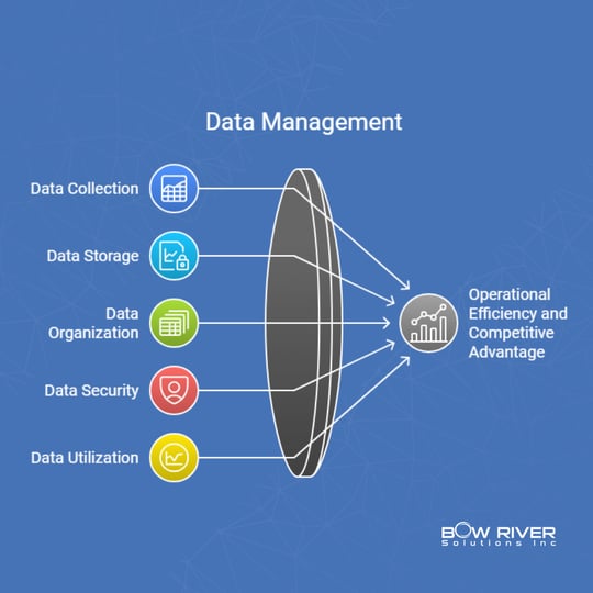 What is Data Management