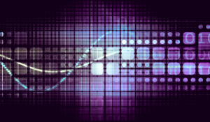 custom-vs-standard-software-development